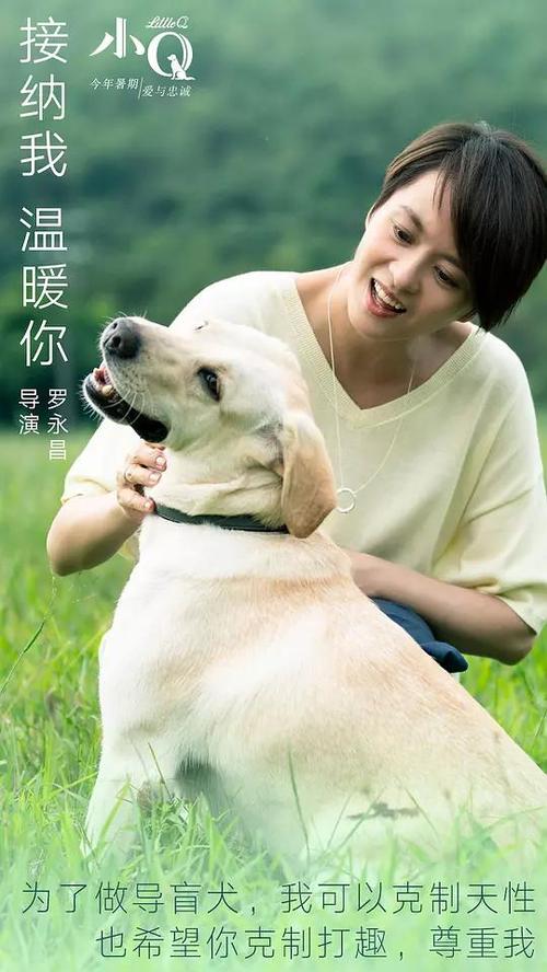 UniversitédetechnologiedeTroyes，UTT经济学文凭证书